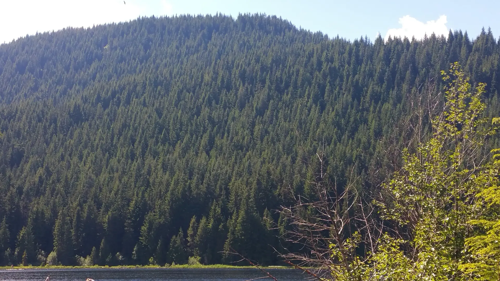 Outdoor Image