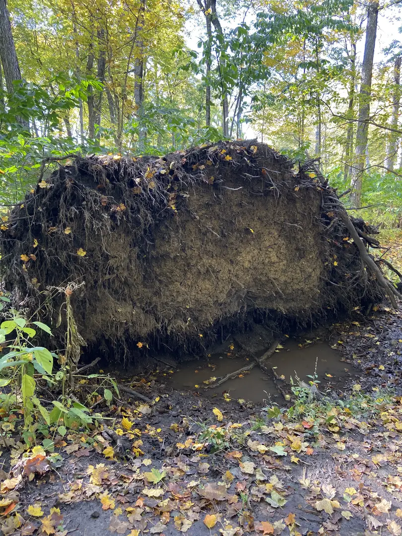 Outdoor Image