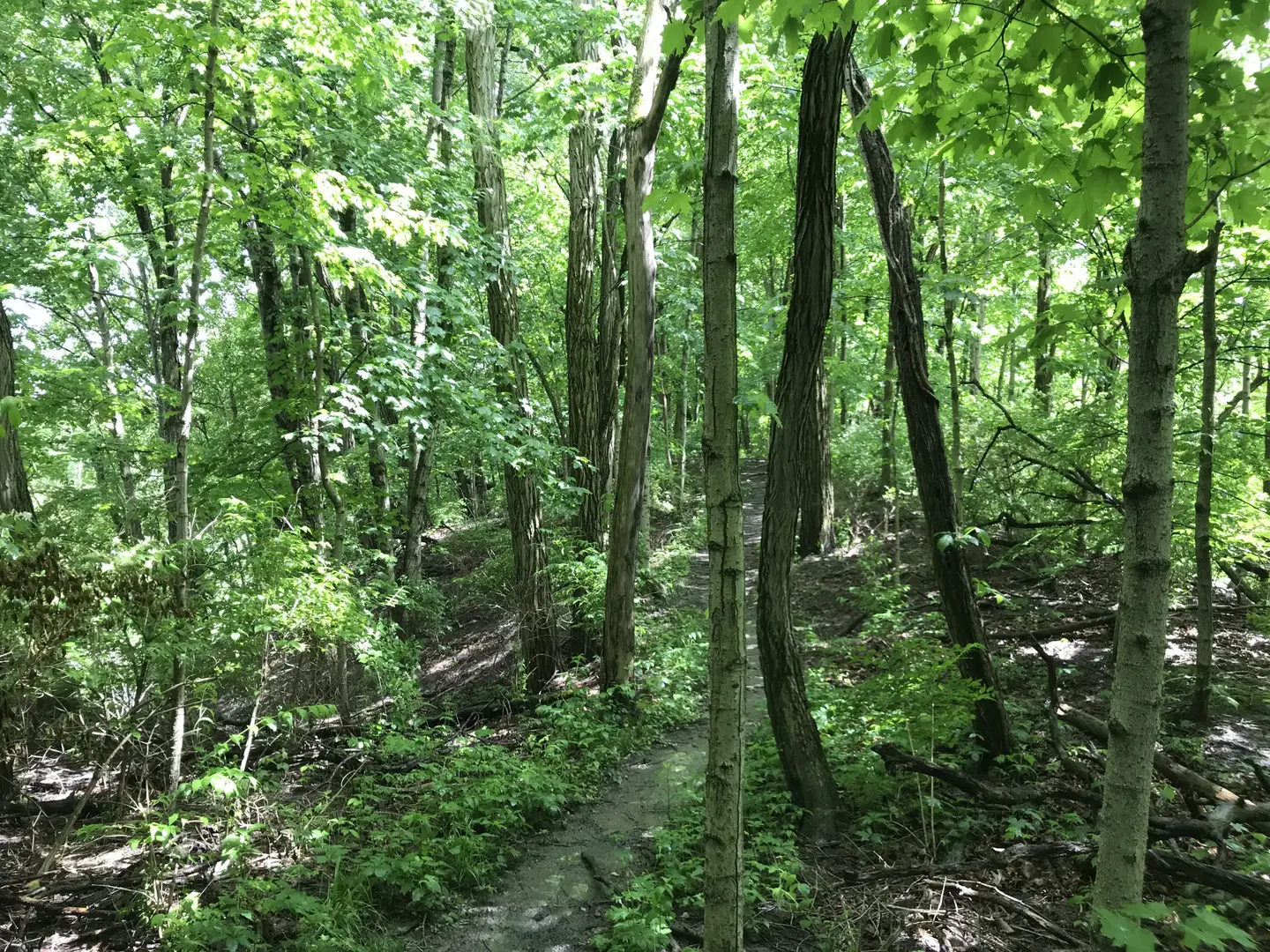 Outdoor Image