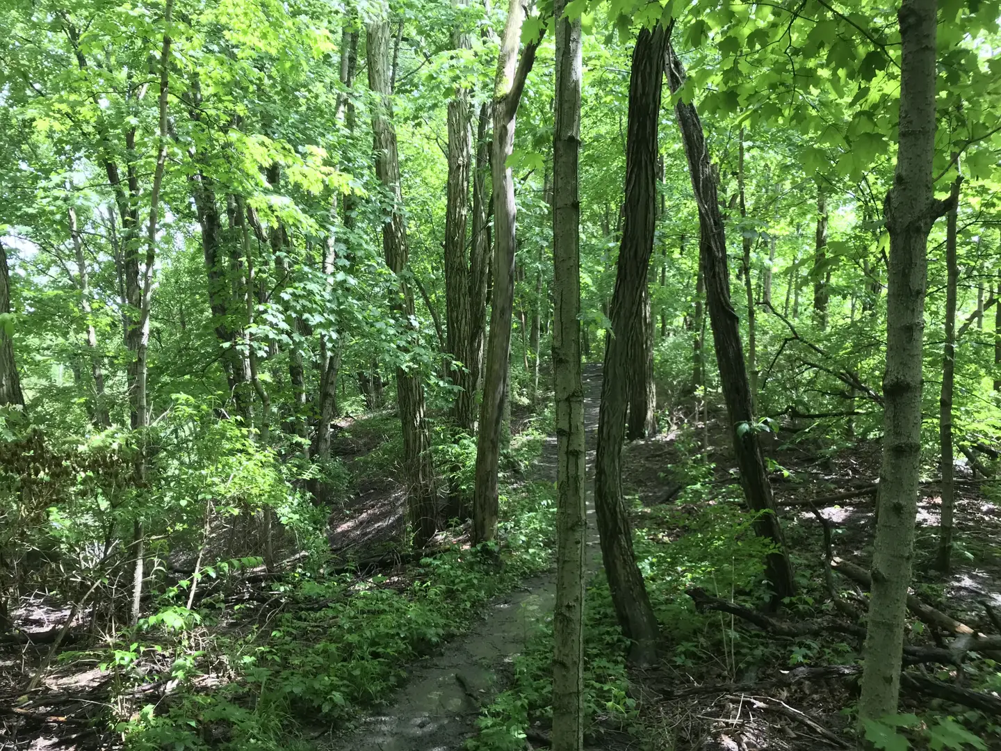 Outdoor Image