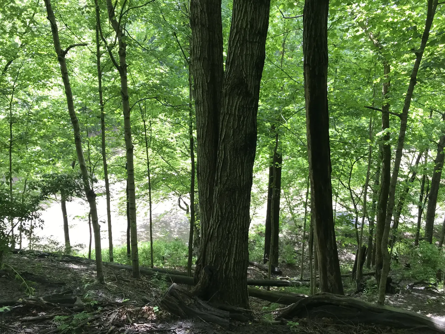 Outdoor Image