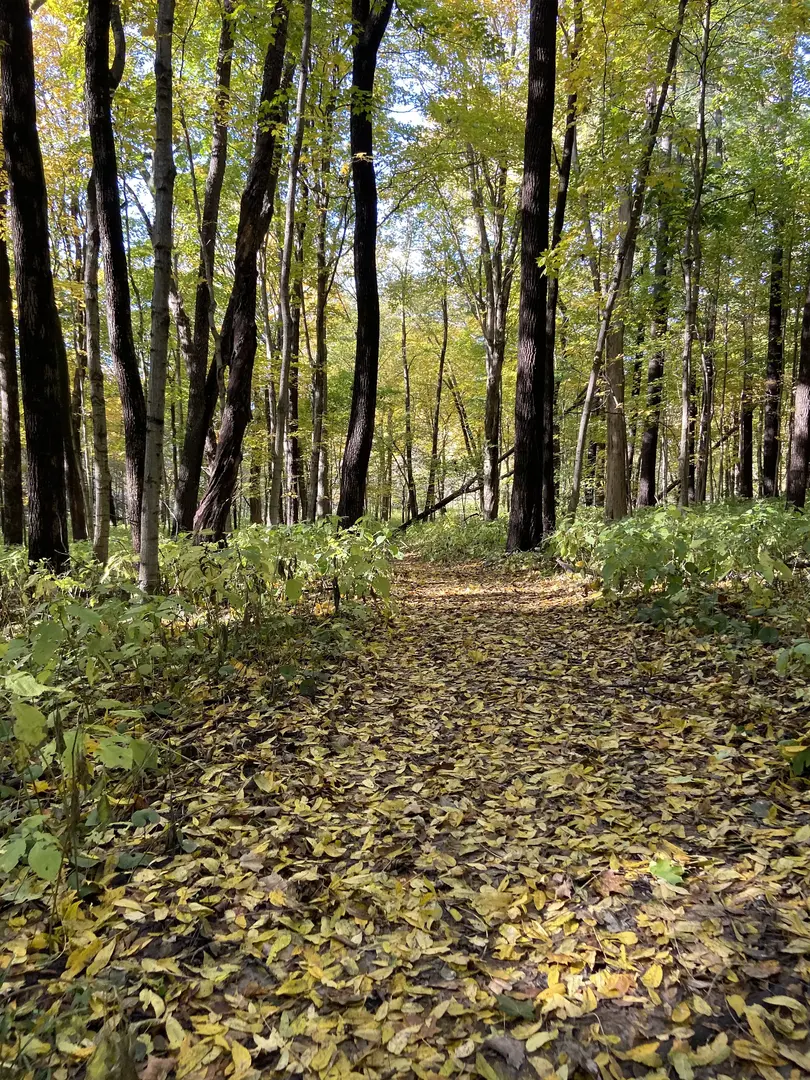 Outdoor Image