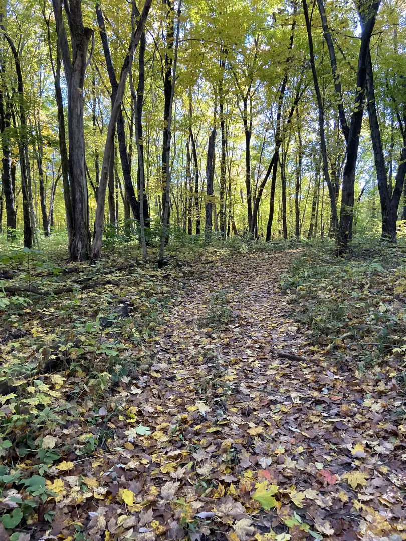 Outdoor Image