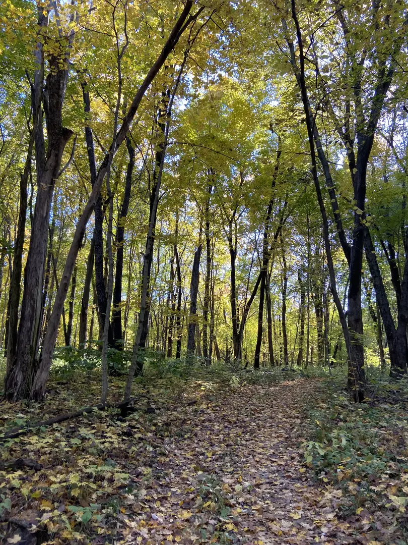 Outdoor Image