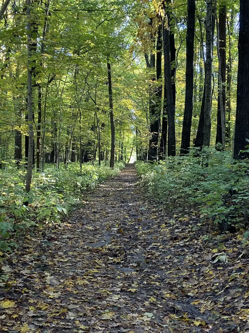 Outdoor Image