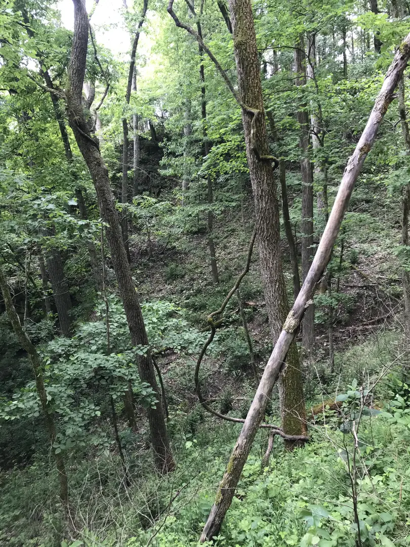 Outdoor Image