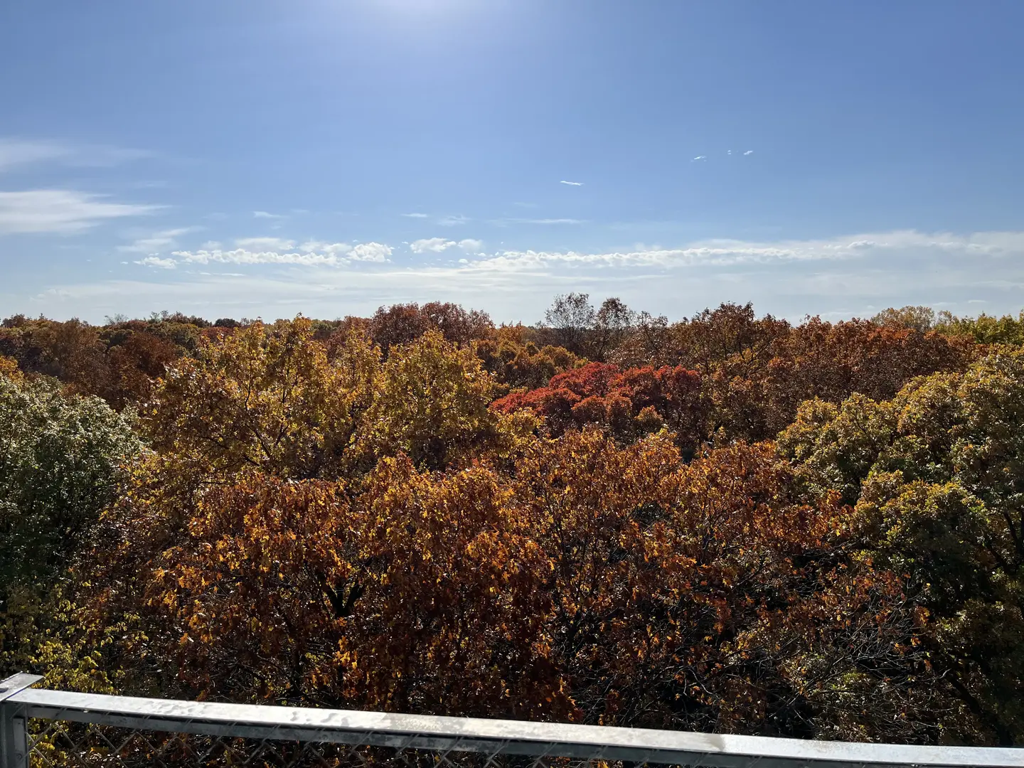 Outdoor Image