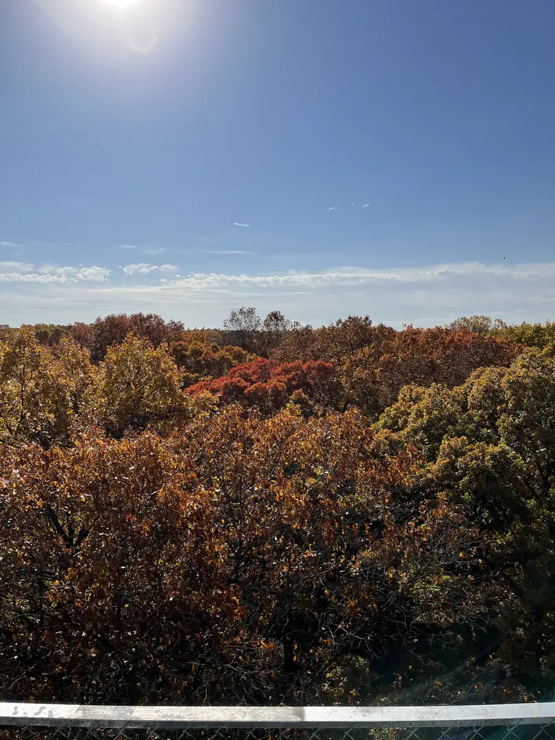 Outdoor Image