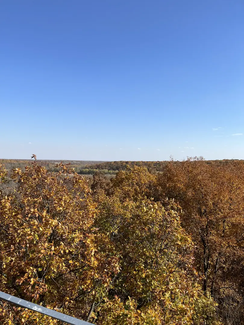 Outdoor Image