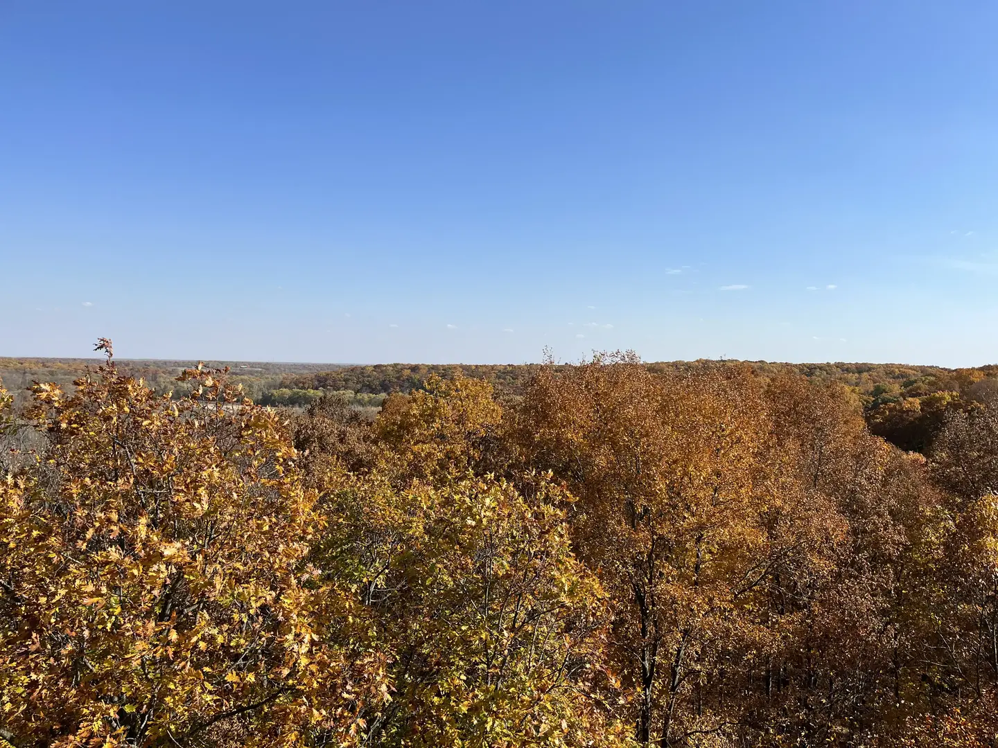 Outdoor Image