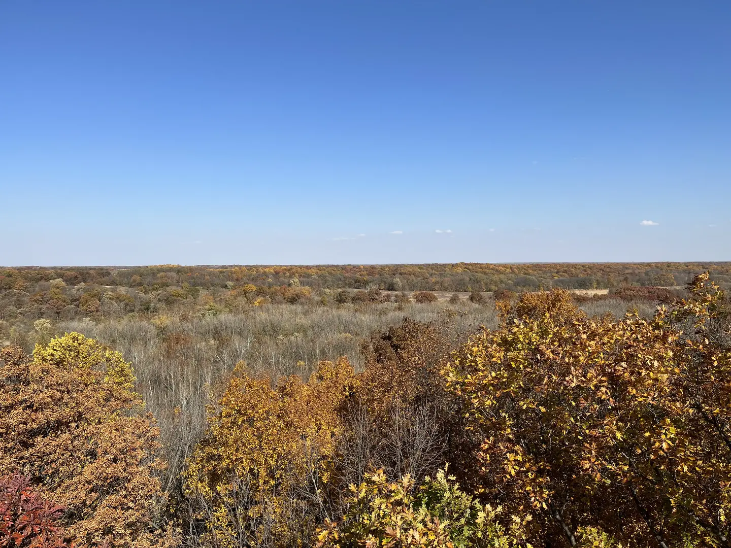 Outdoor Image