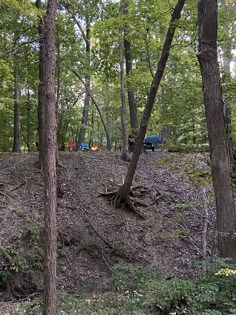 Outdoor Image