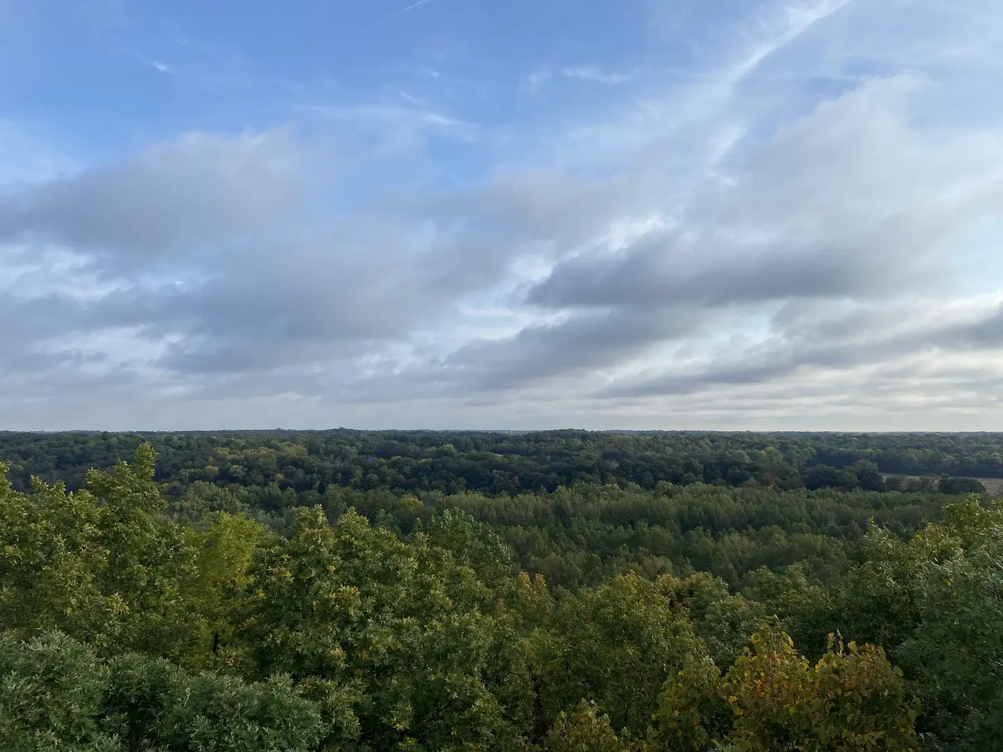 Outdoor Image
