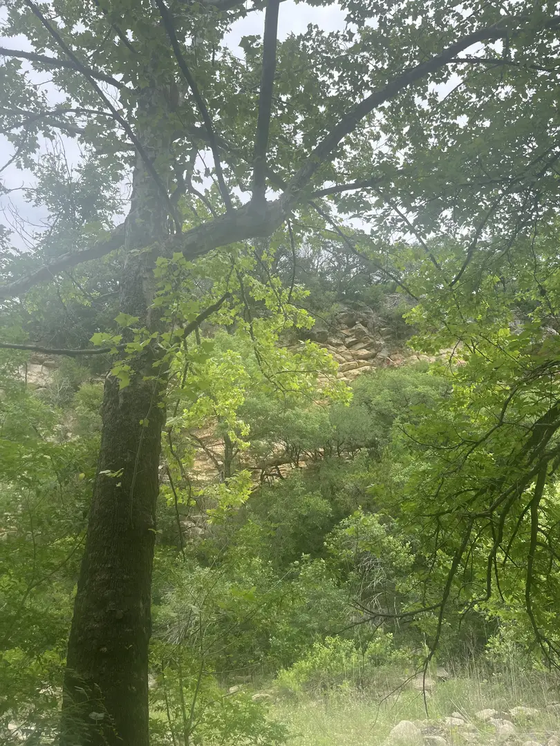 Outdoor Image