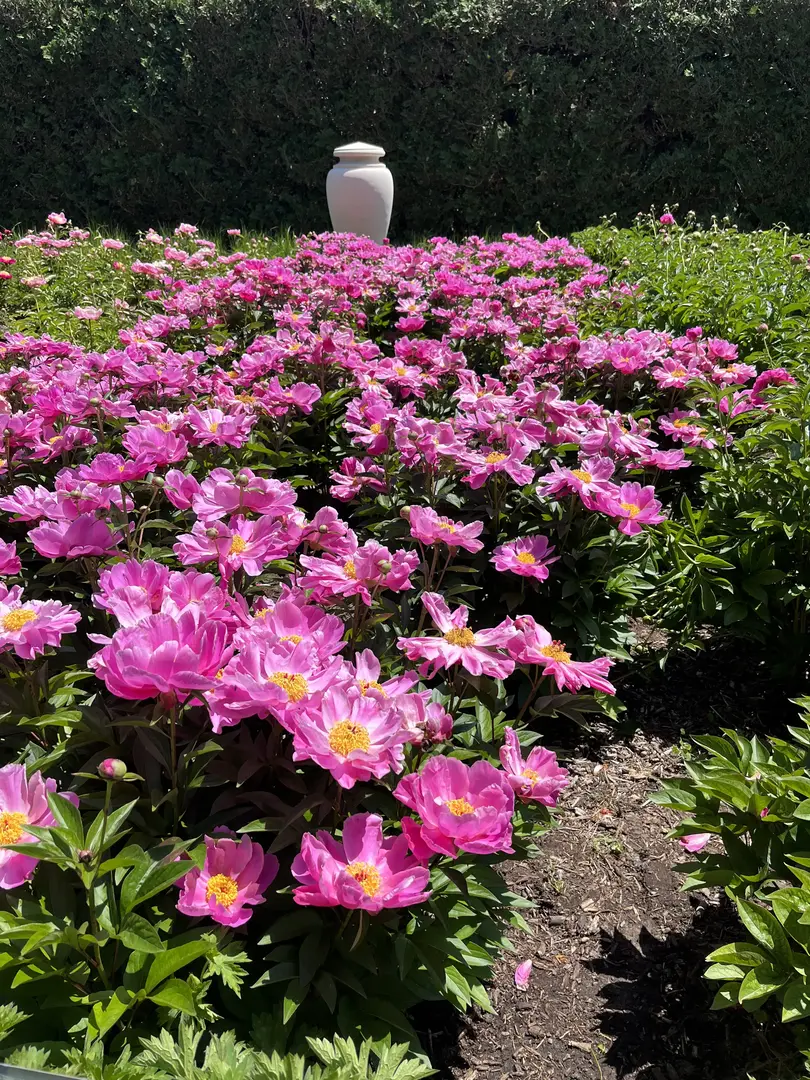 Outdoor Image