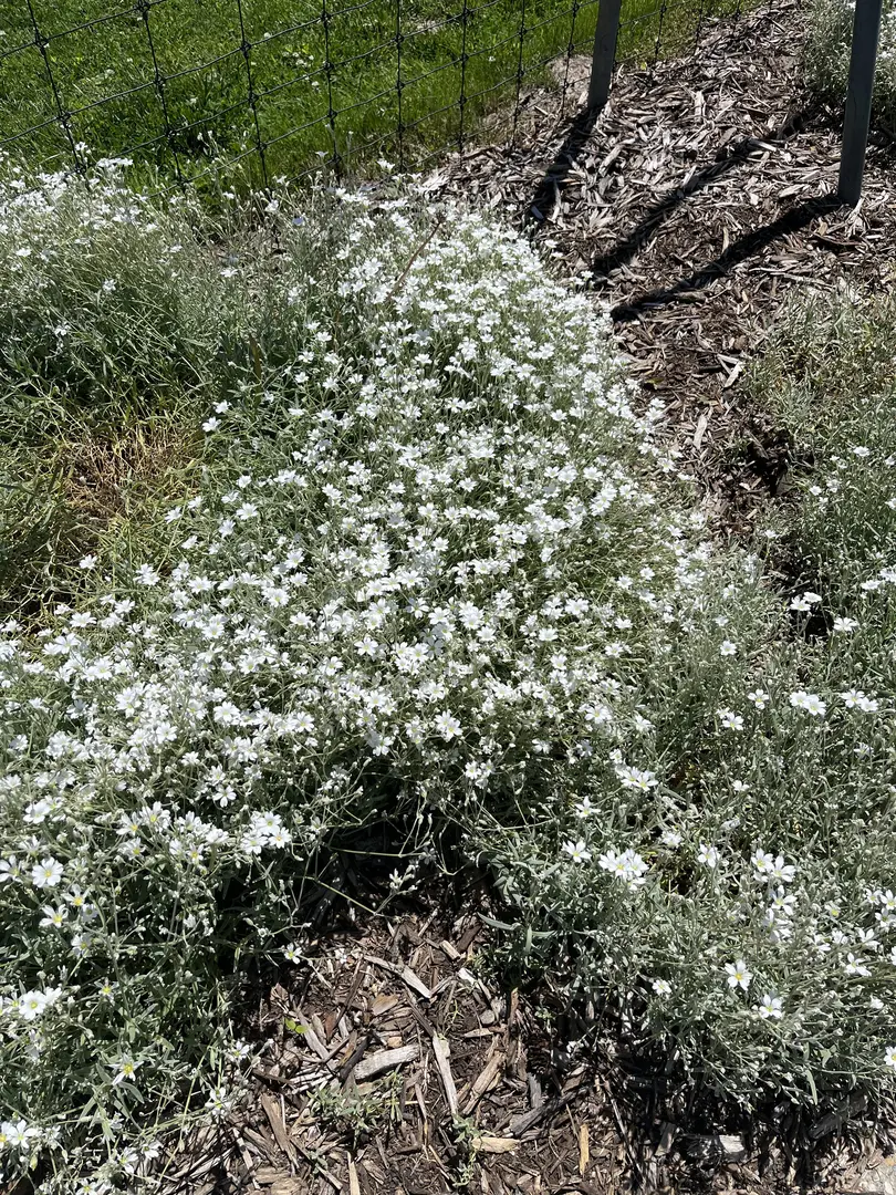 Outdoor Image