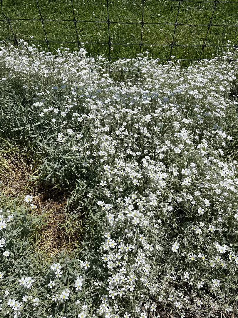 Outdoor Image