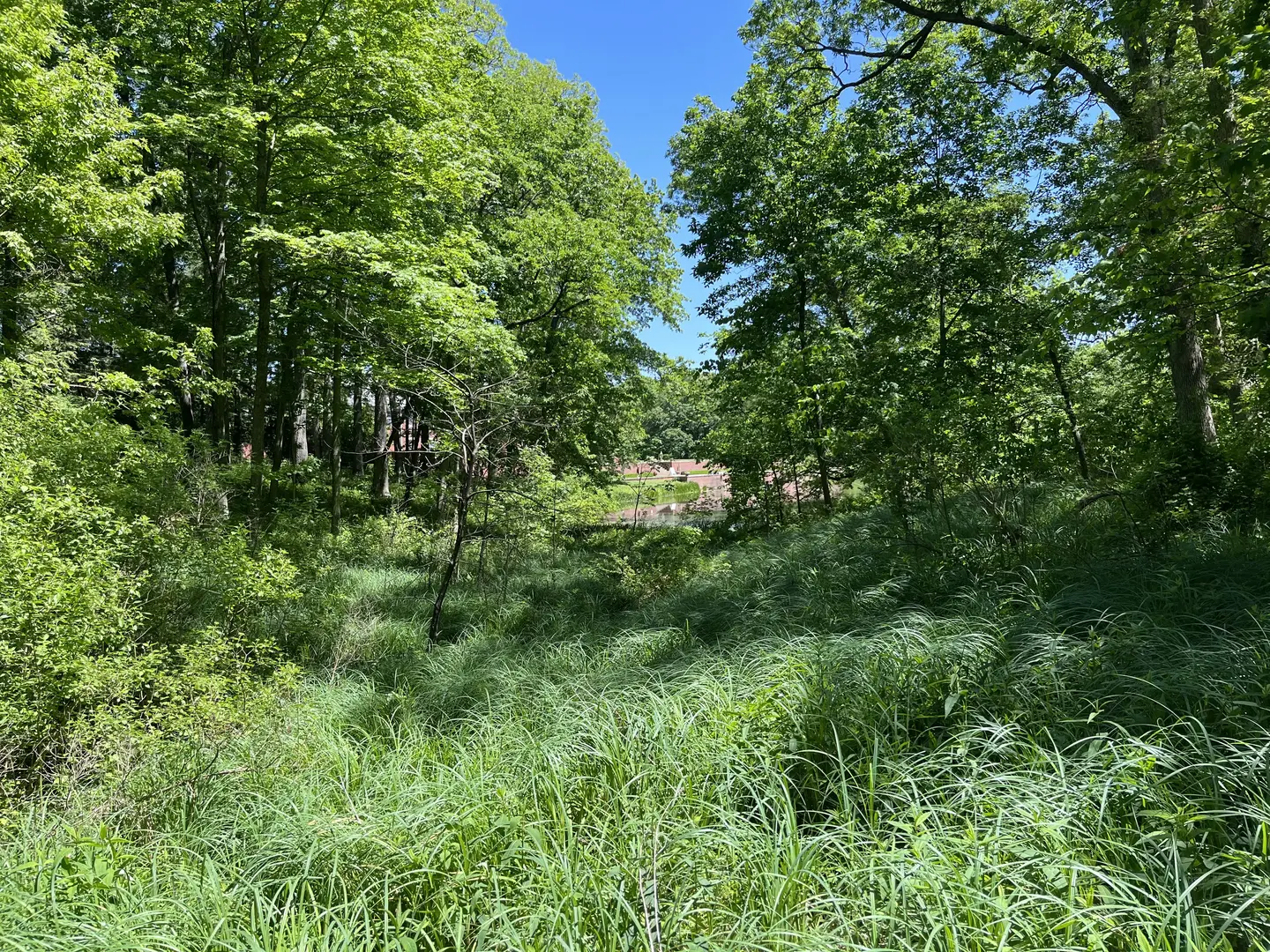 Outdoor Image