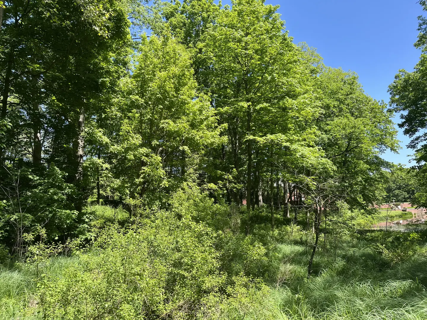 Outdoor Image