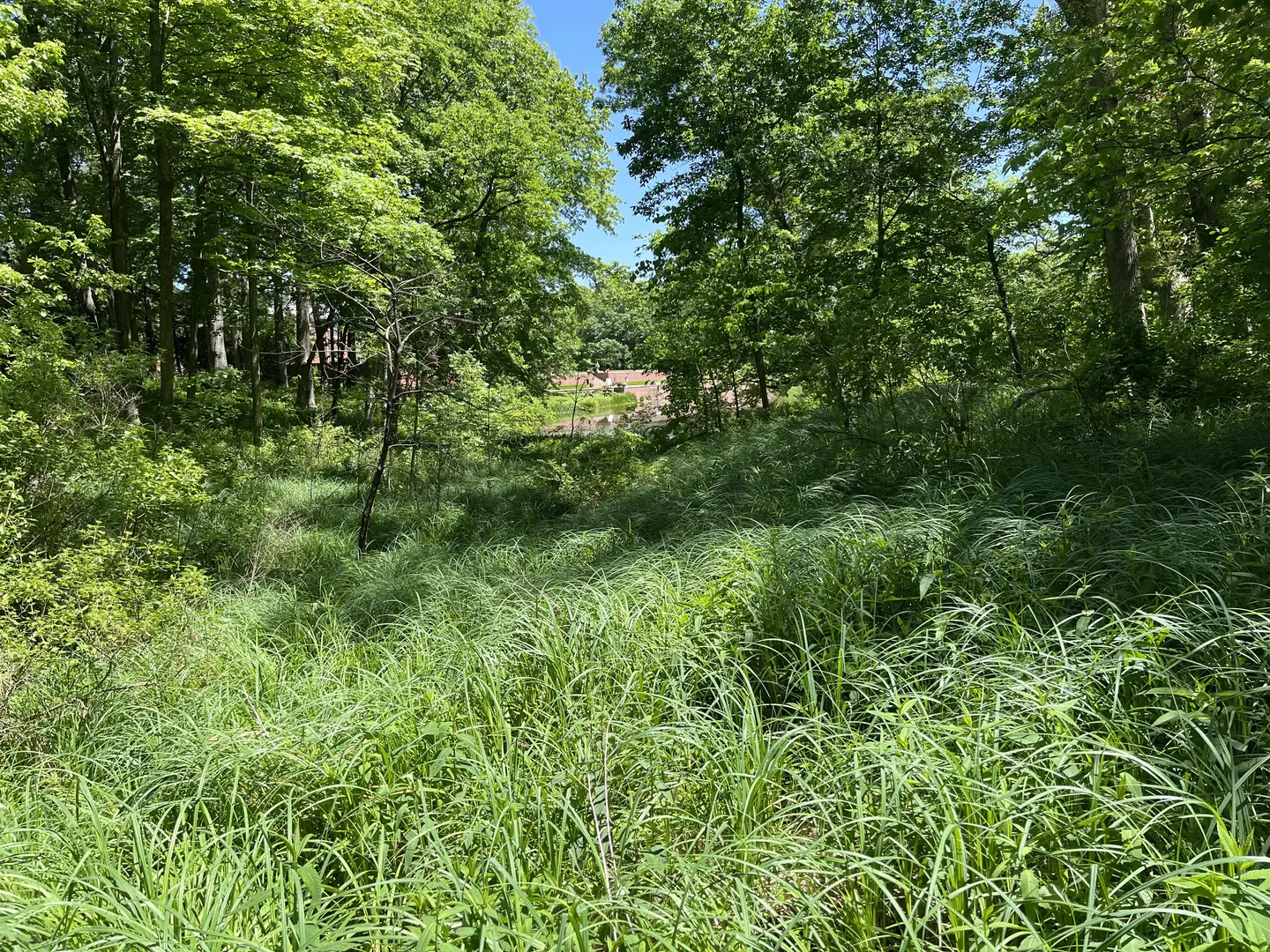 Outdoor Image