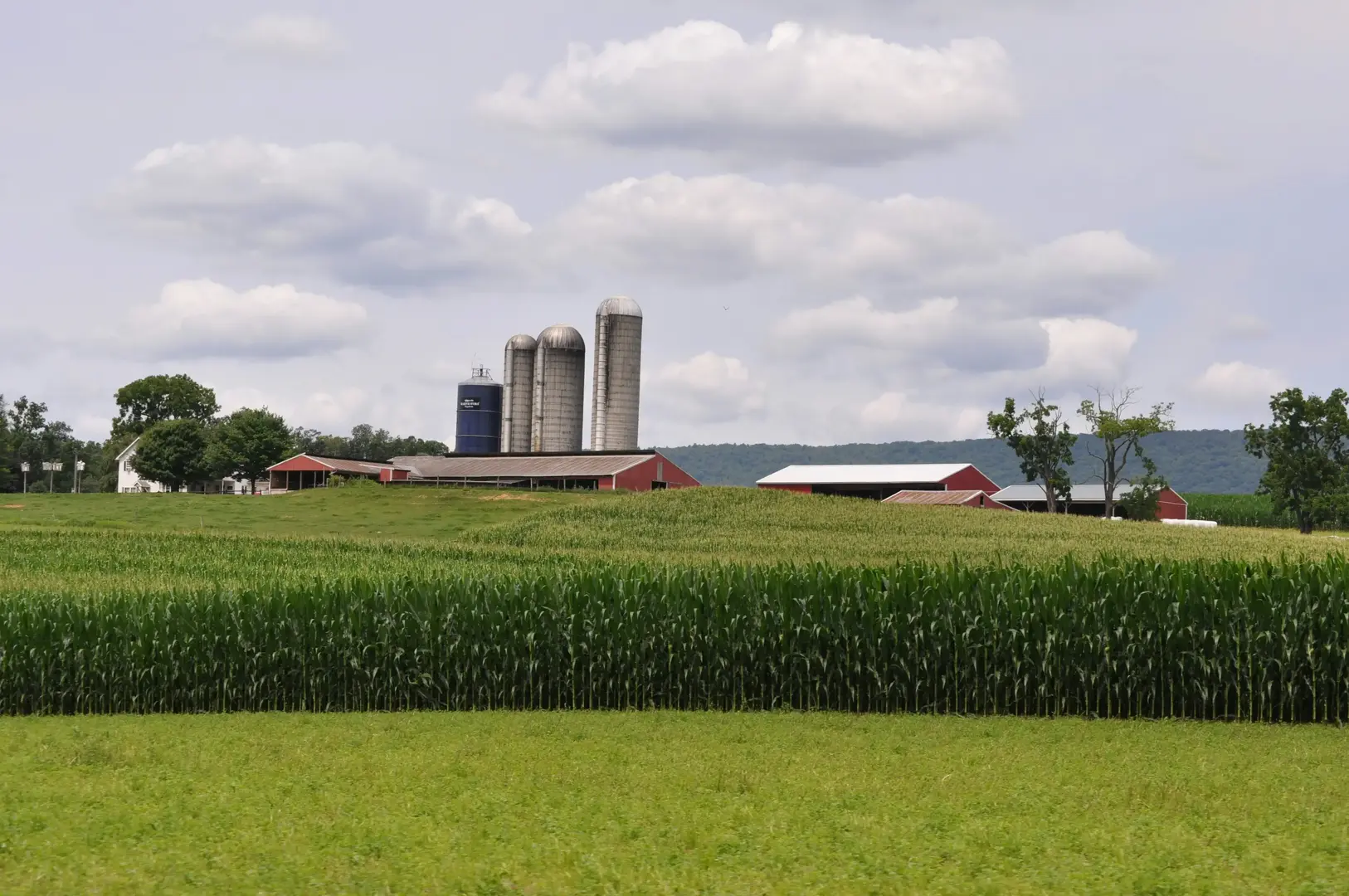 Illinois farmland