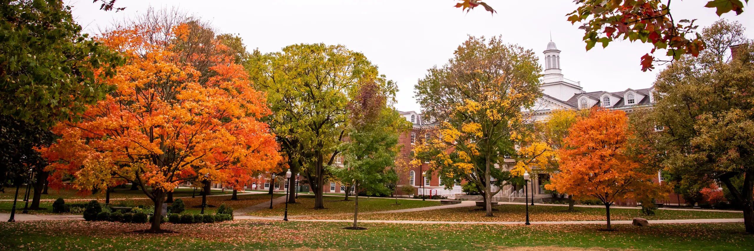 Illinois State University